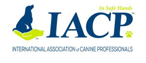 iacp-logo-_600x260